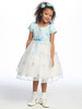 Blue Flower Girl Dress - Cap Sleeve Embroidered Organza Dress