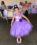 Lavender Sequined Bodice w/ Double Layered Mesh Dress Lavender Sequined Bodice w/ Double Layered Mesh Dress