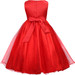 Red Sequined Bodice w/ Double Layered Mesh Dress Red Sequined Bodice w/ Double Layered Mesh Dress
