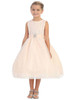 Blush Glitter Tulle Overlay Dress Blush Glitter Tulle Overlay Dress