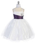 Plum Mini Stoned Tulle Dress Plum Mini Stoned Tulle Dress