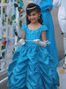 Turquoise Taffeta Embroidered Cinderella Dress