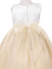 Champagne Embroidered Collar Satin Bodice w/ Glitter Mesh Dress Champagne Embroidered Collar Satin Bodice w/ Glitter Mesh Dress
