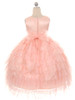 Peach Mesh Layered Princess Dress