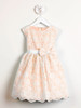 Coral Spring Embroidered Organza Dress