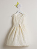 Ivory Sequin & Ribbon Embroidered Mesh Dress Ivory Sequin & Ribbon Embroidered Mesh Dress
