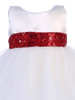 Sequined Sash