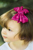 Bows Arts Fuchsia Headband Removable Sequined Bow