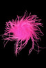 Fuchsia Ostrich Feather Clip