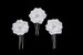 White Pearl Gardenia Mini 3 Pin Set
