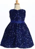 Blossom Blush Velvet Sequins Dress