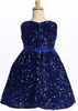 Blossom Sage Velvet Sequins Dress