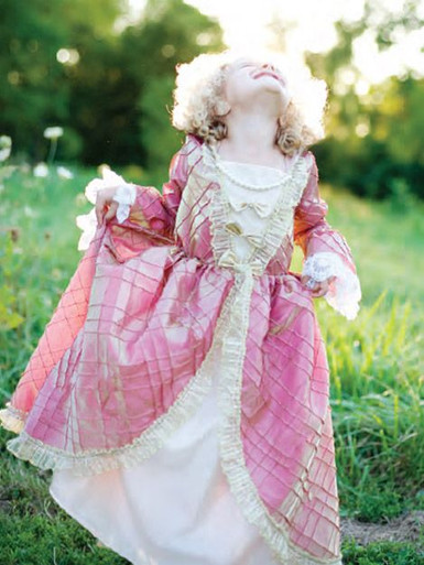 knee length dresses for ladies Handmade Pink and White Toile Renaissance Bodice – French Meadows main image 1