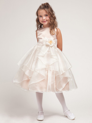 Taupe Layered Organza Dress w/ Satin Bodice - Pink Princess