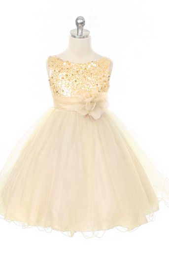 Gold Sequined Bodice w/ Double Layered Mesh Dress - Pink Princess