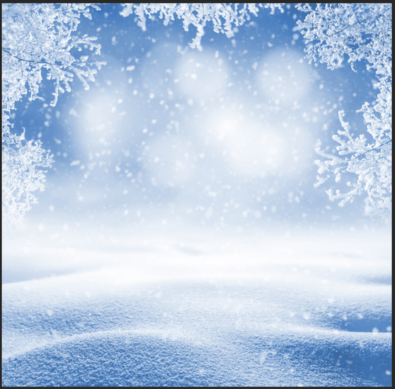 Snowflake Backdrop Double Sided