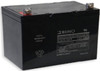 Rhino SLA75-12FP Battery