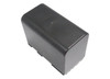 Canon BP-970 Battery