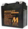 Yuasa YTX14L-BS Battery Replacement - AGM Sealed for Motorcycle