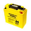 Yuasa 12N5.5-4A Battery Replacement - AGM Sealed for Motorcycle