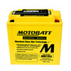 Yuasa YB16B-A Battery Replacement - AGM Sealed for Motorcycle