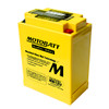 Yuasa YB12C-A Battery Replacement - AGM Sealed for Motorcycle