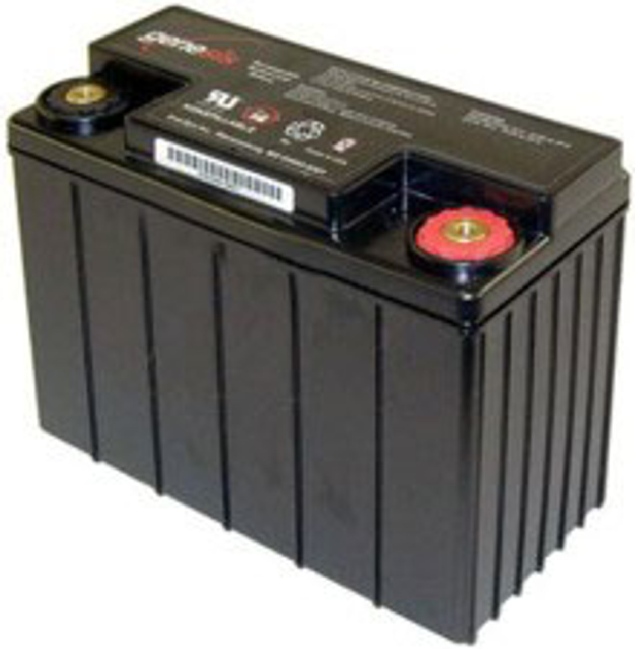 Genesis 0770-2007 Battery - 12V 13.0Ah Sealed Rechargeable, Replacement Batteries for 0770-2007, G12V13AH10EP, G12V13EP, G13EP