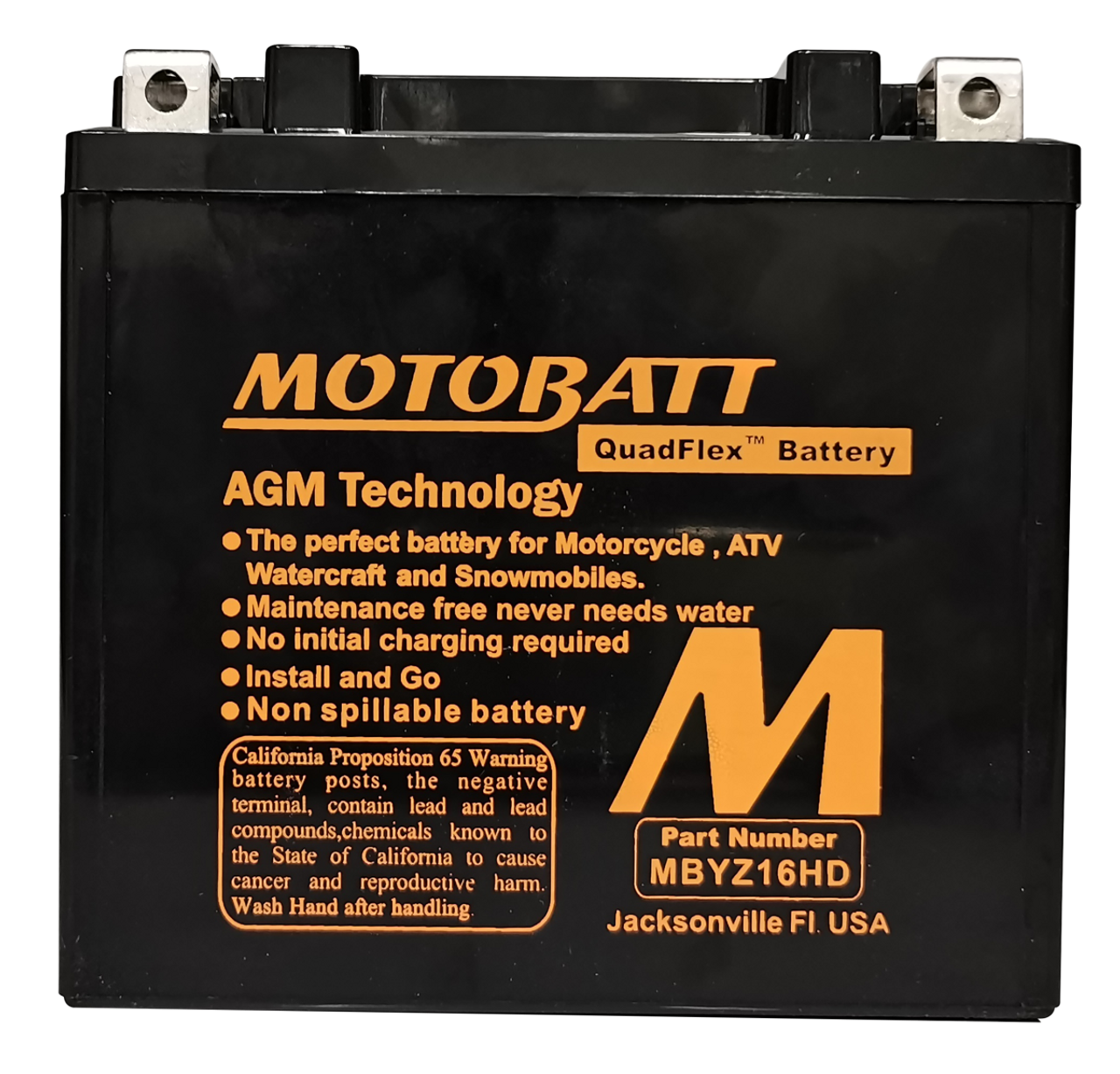 Yuasa YTX14-BS Battery Replacement - AGM Sealed for Motorcycle