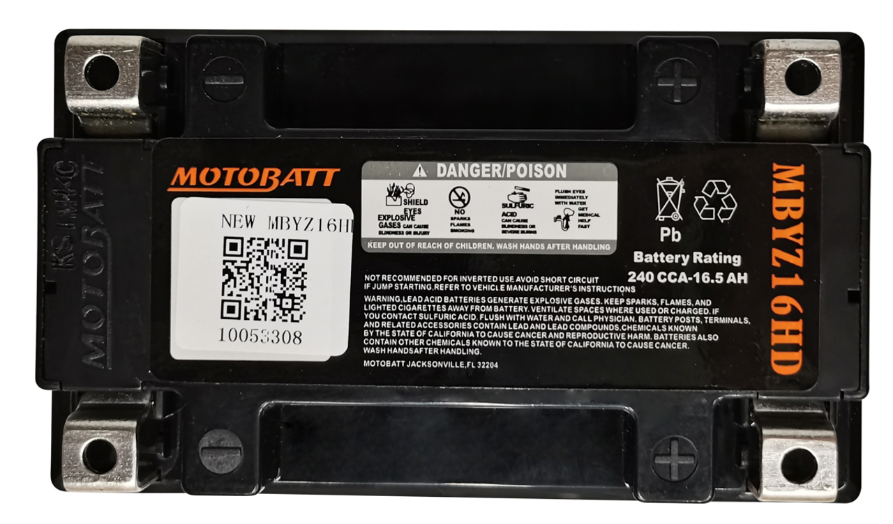 Yuasa YTX14L-BS Battery Replacement - AGM Sealed for Motorcycle