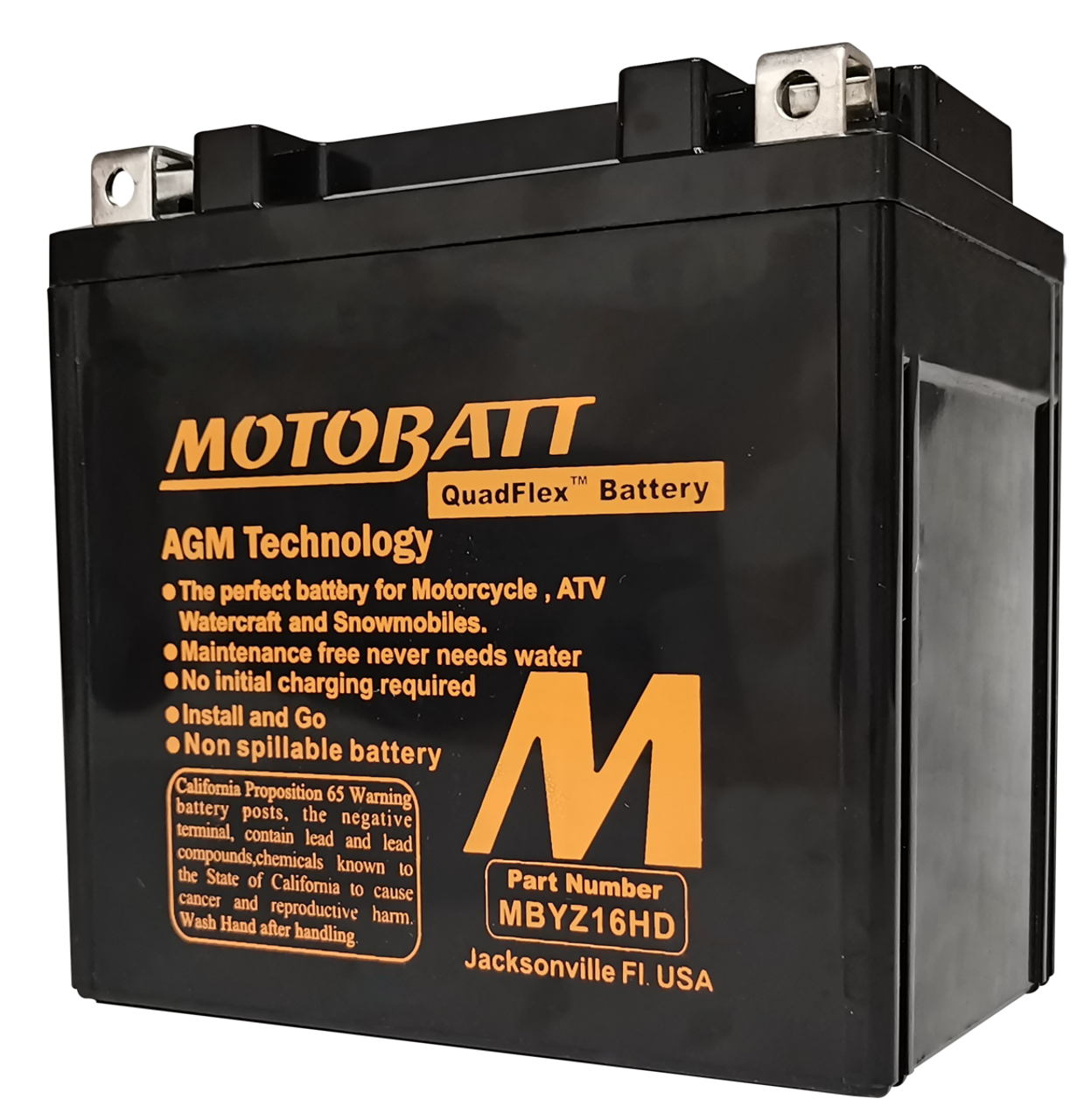 Yuasa YTX14L-BS Battery Replacement - AGM Sealed for Motorcycle