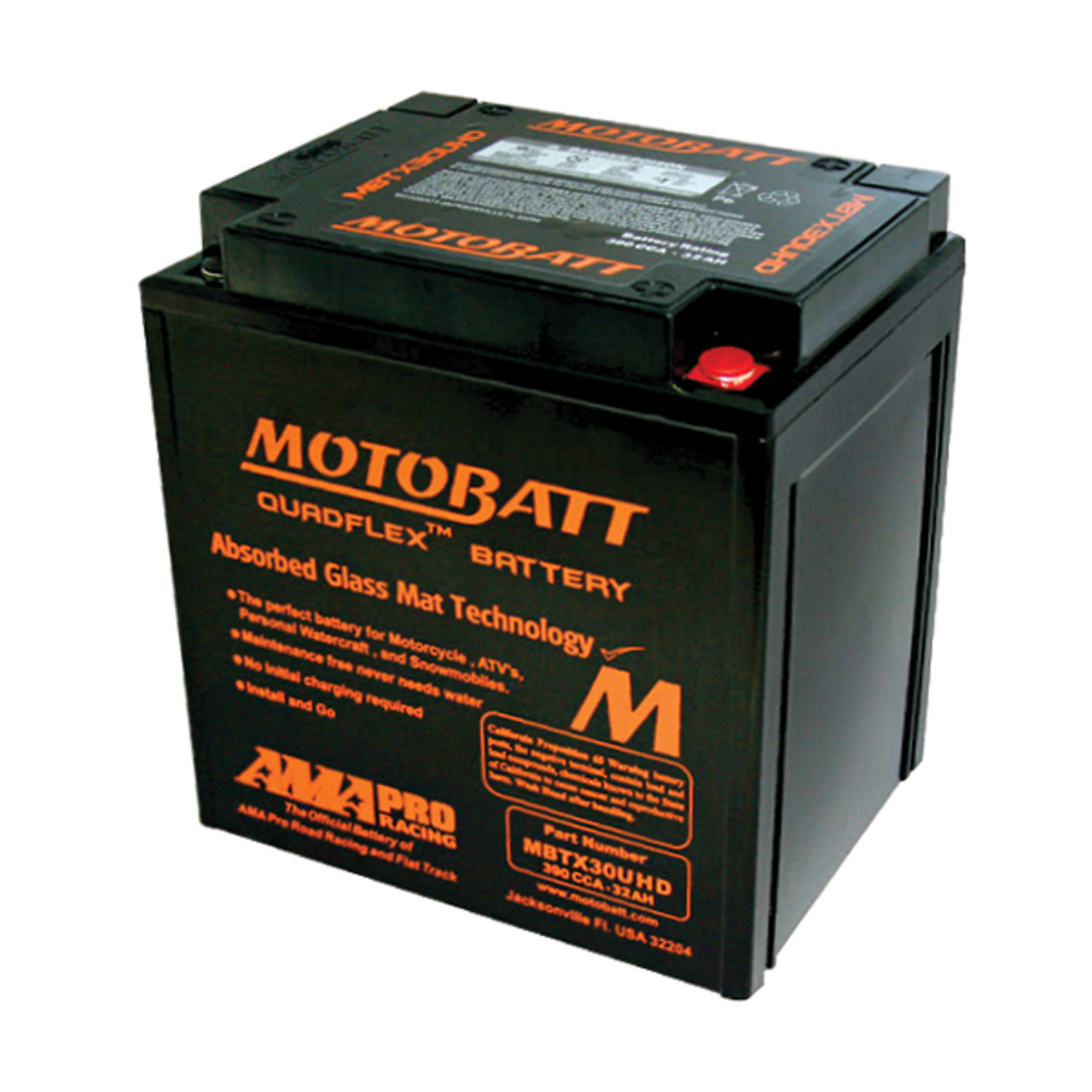 Yuasa Y60-N30L-A Battery Replacement - AGM Sealed for Motorcycle