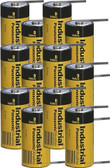 Panasonic AM1-T D Cell Battery - 1.5 Volt Alkaline w/Solder Tabs (12 Pack)