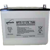 Genesis Yuasa NP75-12 Battery - 12V 77.5Ah Sealed Rechargeable, Replacement Batteries for DM80-12, NP75-12, NP75-12FR