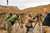 Mountain Rifleman Course, 15-17 Mar 2024, Colorado