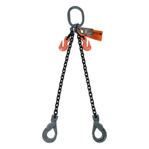 Chain Sling - 3/8" x 6' Double Leg with Positive Locking Hooks and Adjusters - Grade 100 - Main