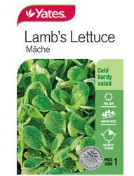 Yts Lambs Lettuce Mache 1 Big Jims Garden Centre