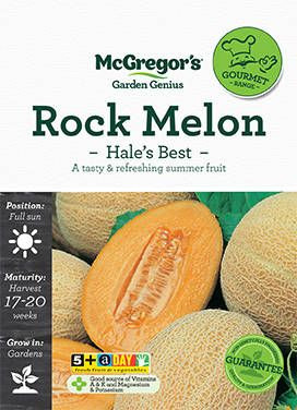 MG G Rockmelon Hales Best Big Jims Garden Centre