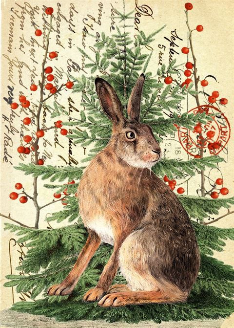 Card Hare & Christmas Tree Big Jims Garden Centre
