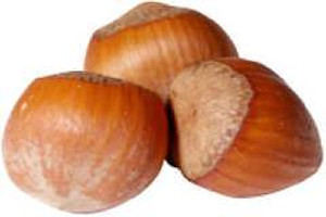 Hazelnut 'Barcelona' PB18 Hazelnut 'Barcelona' PB18