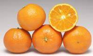 Citrus 'Mandarin Bay Sweetie' 4.7L Citrus 'Mandarin Bay Sweetie' 4.7L