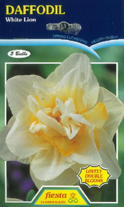 Daffodil 'White Lion' 5