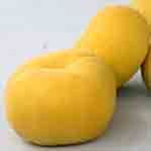 Peach 'Oddfellow' 4.7L Peach 'Oddfellow' 4.7L