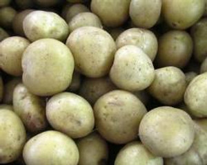 Seed Potato - Nadine 3kg