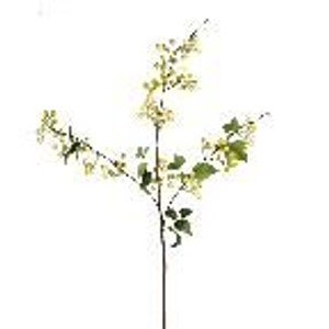 Wild Berry Spray - Cream Green