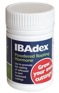 Ibadex Rooting Hormone 25gm
