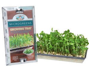 MF Microgreen Growing Tray MF Microgreen Growing Tray
