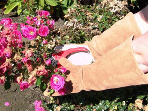 Gloves - Leather Pruner XL