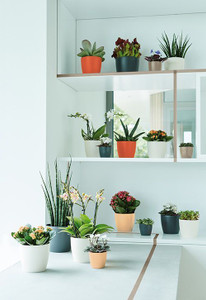 Pot - Brussels Round Anthracit (86747)