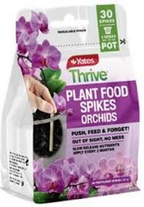 Yts Thrive Spikes Orchid
