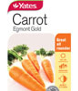 Yts Carrot Egmont Gold - 1 Yts Carrot Egmont Gold - 1
